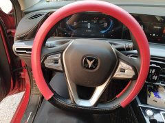 Changan Eado 2020 PLUS Blue Whale NE 1.4T GDI DCT Luxury - ფოტო 15