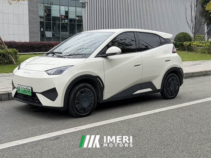 BYD Seagull 305km Vitality Edition