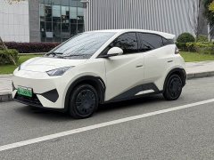 BYD Seagull 305km Vitality Edition - ფოტო 1