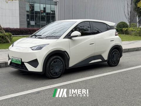 2025 BYD Seagull 305km Vitality Edition