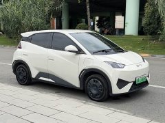 BYD Seagull 305km Vitality Edition - ფოტო 3