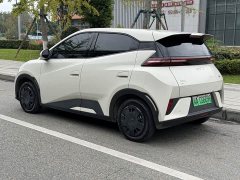 BYD Seagull 305km Vitality Edition - ფოტო 6
