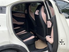 BYD Seagull 305km Vitality Edition - ფოტო 9