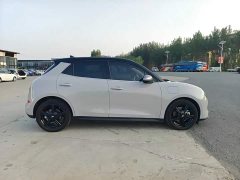 ORA Good Cat 401km Standard Range Deluxe Edition LFP Battery - ფოტო 3