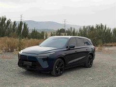 Great Wall WEY Blue Mountain Four-Wheel Drive Extended Range Version - ფოტო 1