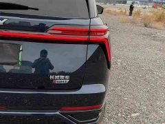 Great Wall WEY Blue Mountain Four-Wheel Drive Extended Range Version - ფოტო 17