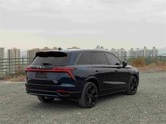 Great Wall WEY Blue Mountain Four-Wheel Drive Extended Range Version - ფოტო 4