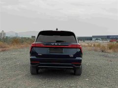 Great Wall WEY Blue Mountain Four-Wheel Drive Extended Range Version - ფოტო 5