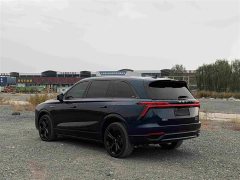 Great Wall WEY Blue Mountain Four-Wheel Drive Extended Range Version - ფოტო 6