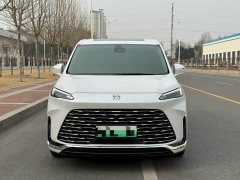 Buick GL8 New Energy Lusang Respect Edition - ფოტო 2