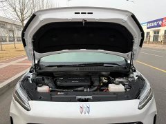Buick GL8 New Energy Lusang Respect Edition - ფოტო 8