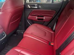 Tank 300 2.0T Gasoline Challenger - ფოტო 6