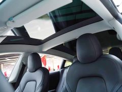 Tesla Model 3 2022 Rear-Wheel Drive - ფოტო 12