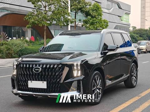 2023 GAC Aion GS8 Dual Engine 2.0T M Two-Wheel Drive Luxury Edition (6-Seater)