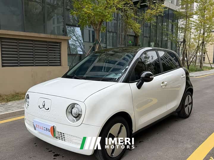 Ora Black Cat 301km Base Ternary Lithium - ავტომობილი ჩინეთიდან