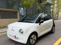 Ora Black Cat 301km Base Ternary Lithium - ფოტო 1