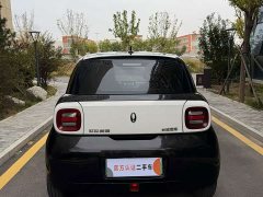 Ora Black Cat 301km Base Ternary Lithium - ფოტო 8