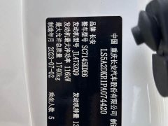 Changan Eado Enjoy Plus Blue Whale NE 1.4T GDI DCT Luxury Edition - ფოტო 13