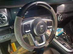 Tank 300 2023 Off-Road Edition 2.0T Conqueror - ფოტო 15