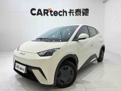 BYD Seagull Glory Edition 305km Vitality Version - ფოტო 1