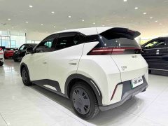 BYD Seagull Glory Edition 305km Vitality Version - ფოტო 4