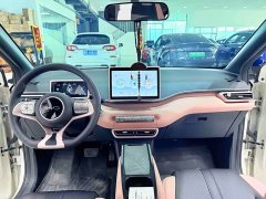 BYD Seagull Glory Edition 305km Vitality Version - ფოტო 8