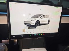 Tesla Model Y 2022 Performance All-Wheel Drive - ფოტო 14