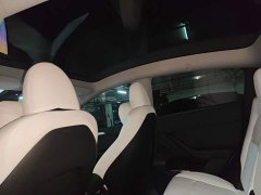 Tesla Model Y 2022 Performance All-Wheel Drive - ფოტო 19