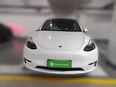 Tesla Model Y 2022 Performance All-Wheel Drive - ფოტო 2