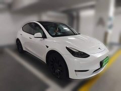 Tesla Model Y 2022 Performance All-Wheel Drive - ფოტო 3