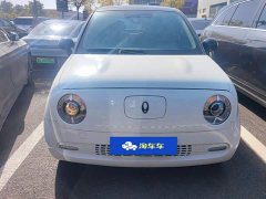 Ora Black Cat 351km Comfort Ternary Lithium - ფოტო 2