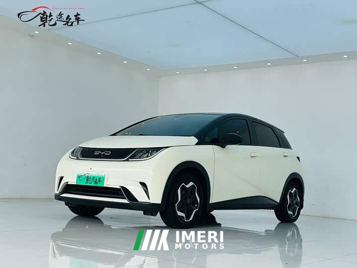BYD Dolphin 405km Fashion Edition - ავტომობილი ჩინეთიდან