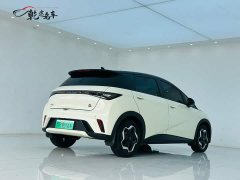 BYD Dolphin 405km Fashion Edition - ფოტო 7