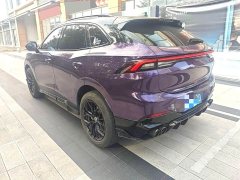 Dongfeng Fenxing T5 EVO 1.5T DCT Diamond Edition - ფოტო 9