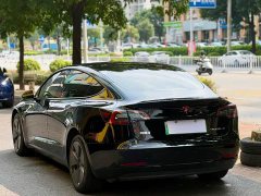Tesla Model 3 2022 Rear-Wheel Drive - ფოტო 3
