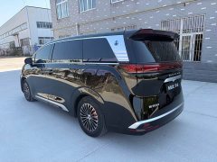Denza BYD Denza D9 DM-i 980 Four-Wheel Drive Premium - ფოტო 11