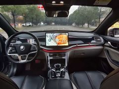 BYD Qin Plus EV 500KM Luxury - ფოტო 5