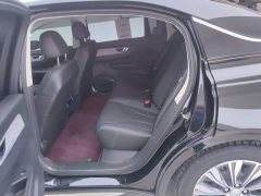 FAW Hongqi E-QM5 610km PLUS - ფოტო 11