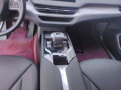FAW Hongqi E-QM5 610km PLUS - ფოტო 16