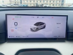 Chery Fengyun T9L 230 Max - ფოტო 10