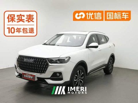 2023 Haval H6 National Trend Edition 1.5T Automatic Urban Version - ავტომობილი ჩინეთიდან