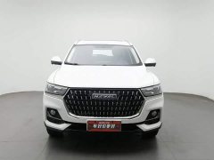 Haval H6 National Trend Edition 1.5T Automatic Urban Version - ფოტო 3