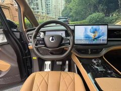 Denza BYD Denza D9 DM-i AWD Premium Navigation Edition - ფოტო 9