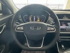 Geely Binrui 1.4T CVT Asian Games Edition - ფოტო 10
