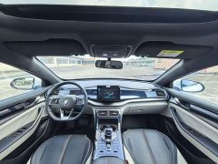 BYD Qin Plus 2021 DM-i 120KM Luxury - ფოტო 18