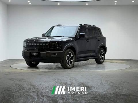 2025 Jetour Shanhai T1 150km Xianghai