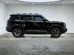 Jetour Jietu Shanhai T1 2024 150km Xianghai - ფოტო 4