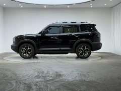 Jetour Jietu Shanhai T1 2024 150km Xianghai - ფოტო 5