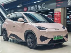 BYD Seagull Smart Drive 305km Vitality Edition - ფოტო 1