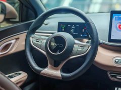 BYD Seagull Smart Drive 305km Vitality Edition - ფოტო 10